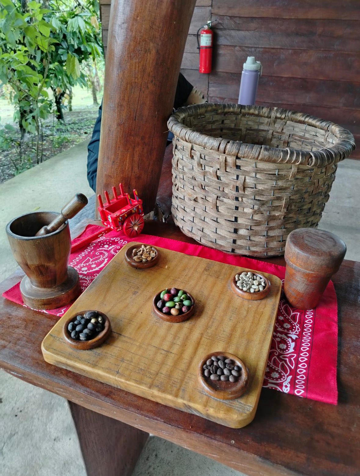 Costa Rica tour photo