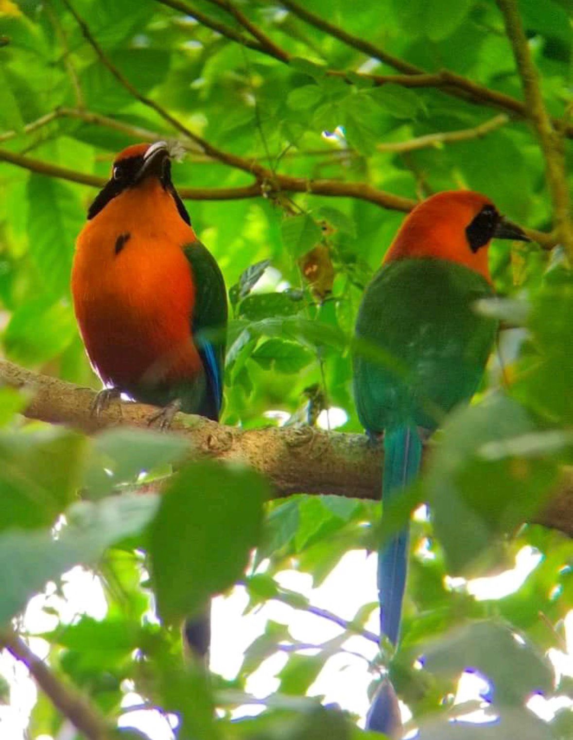 Costa Rica tour photo
